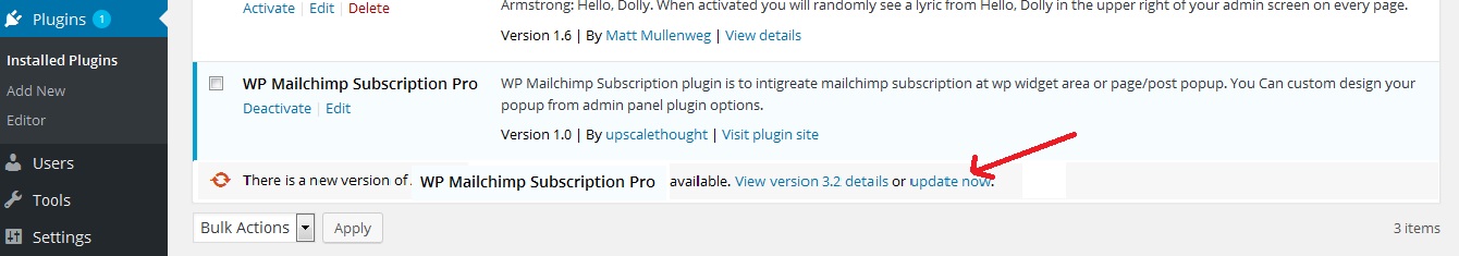 Wordpress Mailchimp Subscription Plugin - 4